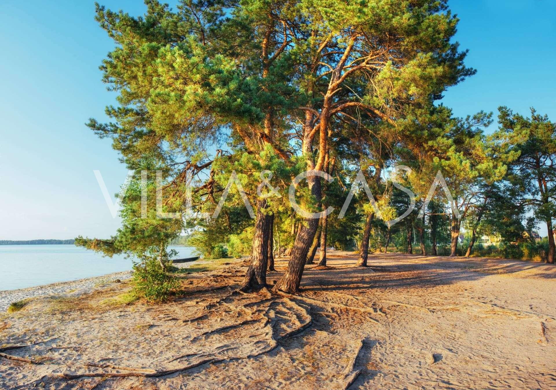 Кемпінг біля моря в Тоскані на продажу